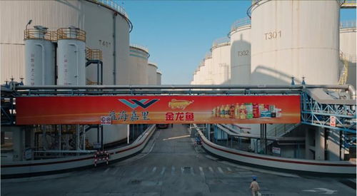 守護國民餐桌,一滴油的使命