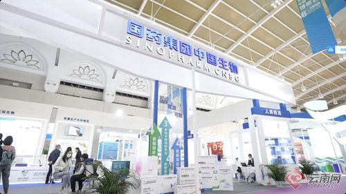 趙立堅發博,點贊南博會